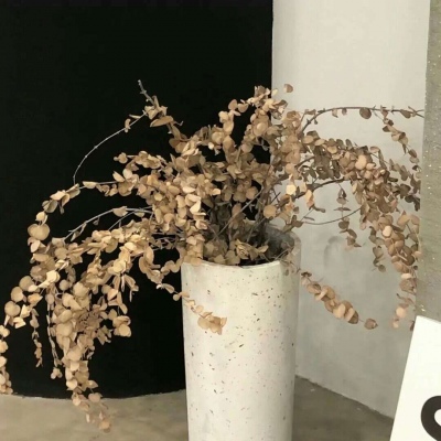 Furry插画元素搭配FurryQQ群